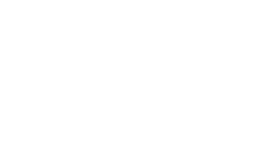 ONE VISUAL SOLUTION